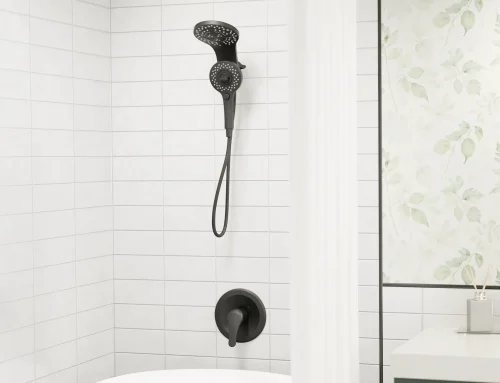 Top 5 Inexpensive Shower Heads and Trim Sets Under $200