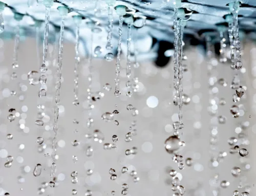 Top 3 Reasons Your Shower Pressure is Low