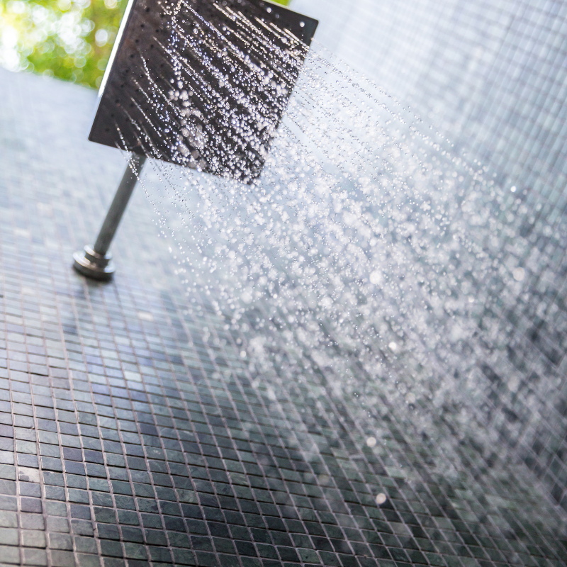 Rain Shower Head